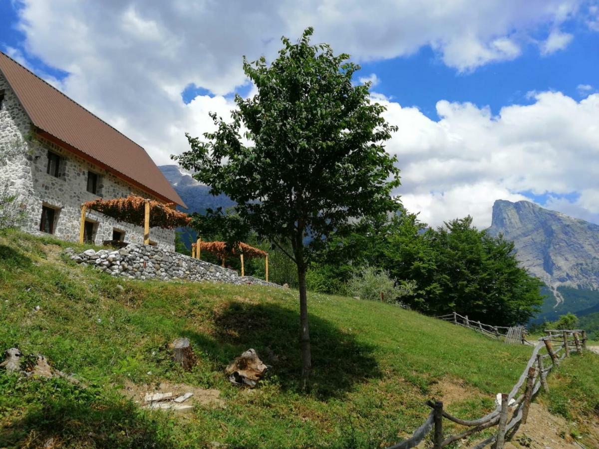 Guest House Panorama เธทธ์ ภายนอก รูปภาพ